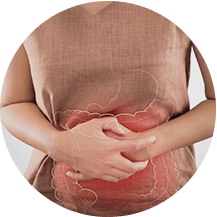 Digestive Support