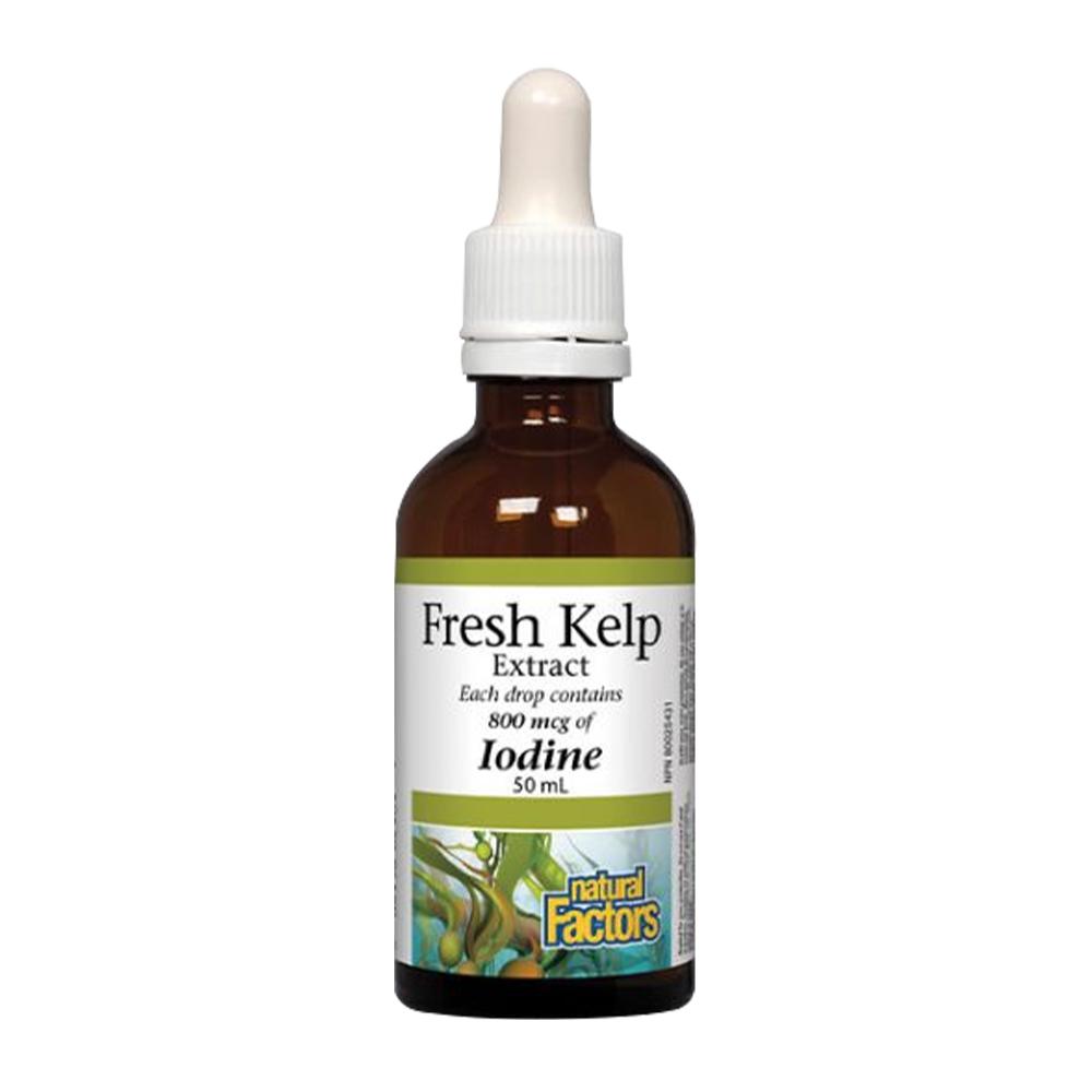 Natural Factors - Fresh Kelp Extract Liquid 800mcg of Iodine - Unflavored - 50 ML