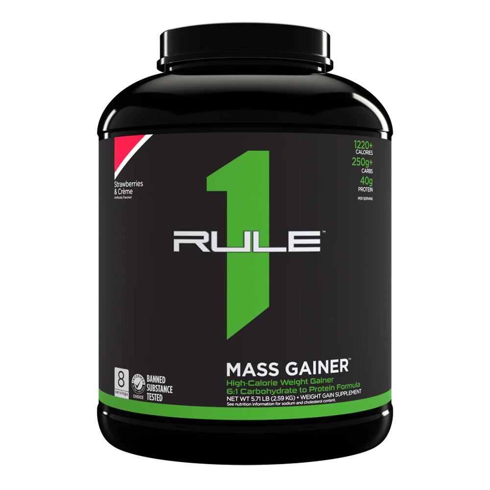 Rule 1 Proteins - Mass Gainer